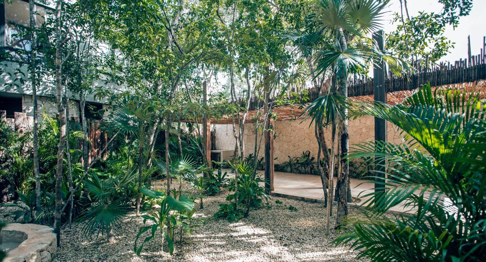 Luxury Jungle Villa-Pvt Pool -100Mbs- Concierge 8A Tulum Bagian luar foto